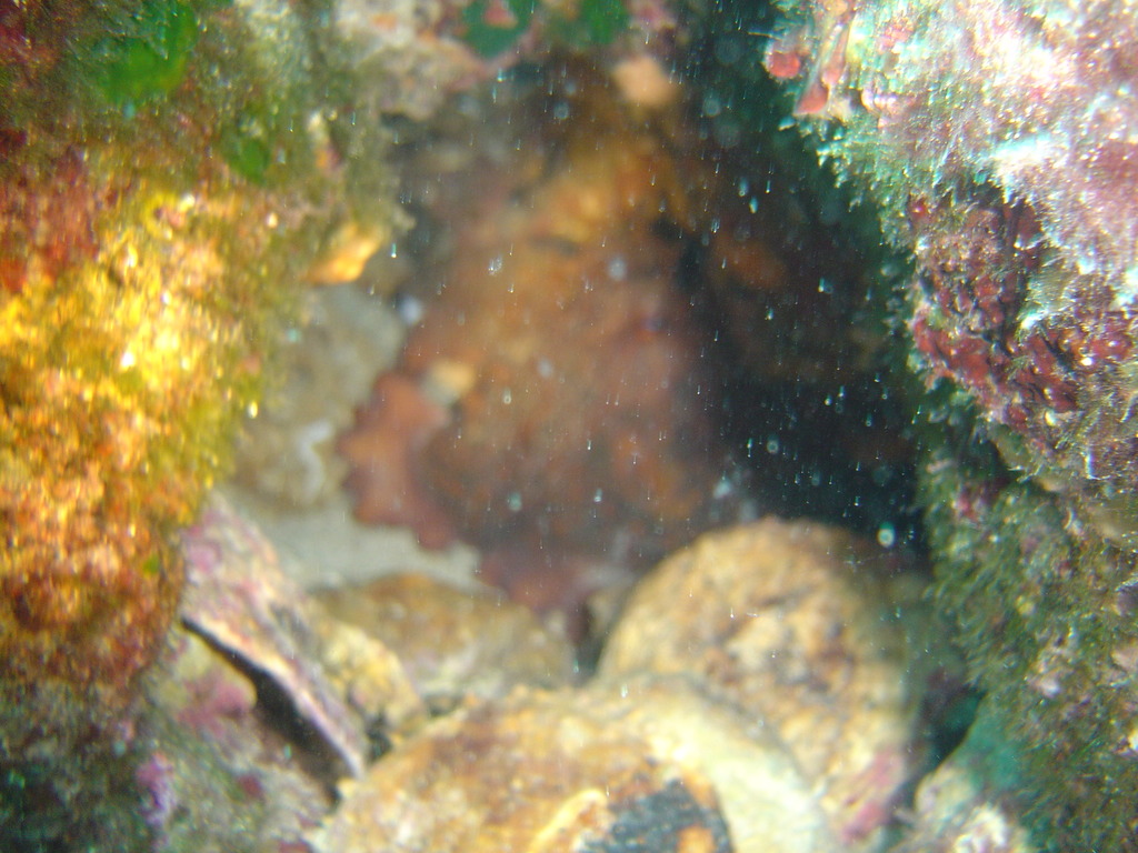 DSC00057.JPG