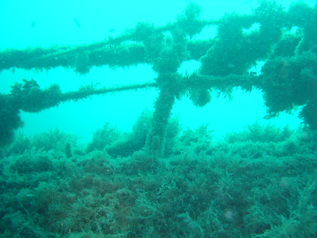 DSC00060.JPG