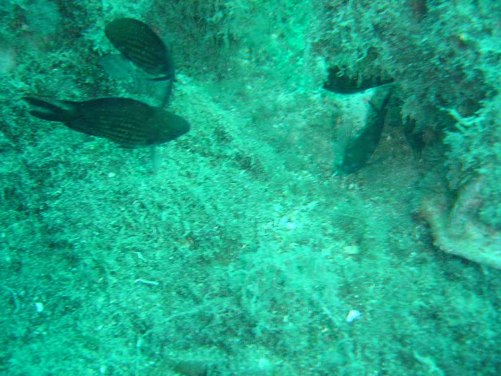 DSC00070.JPG
