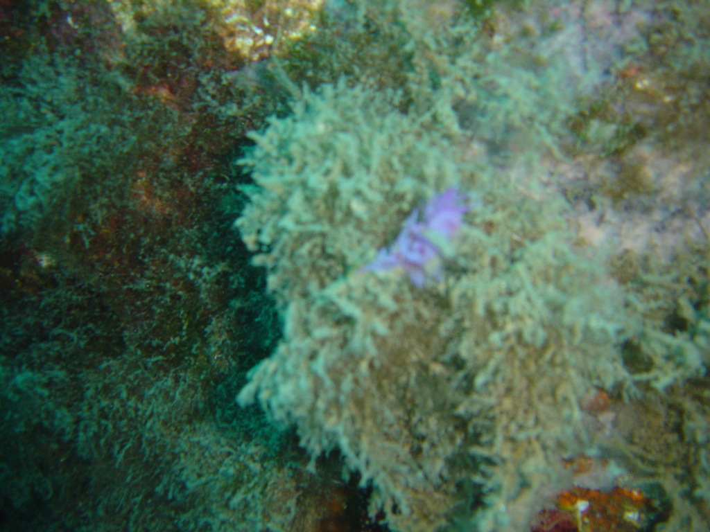 DSC00071.JPG