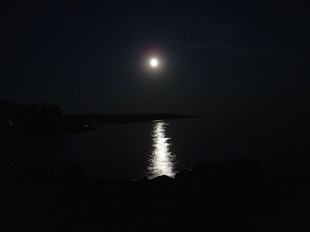 DSC00079.JPG