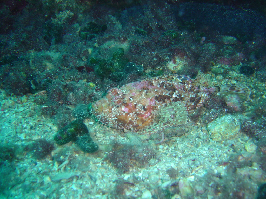 DSC00088.JPG