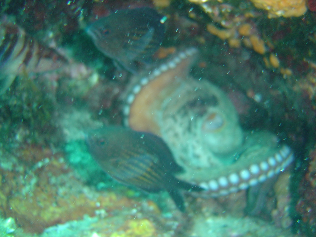 DSC00093.JPG