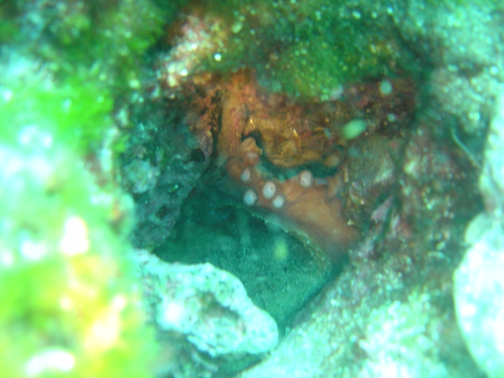 DSC00143.JPG