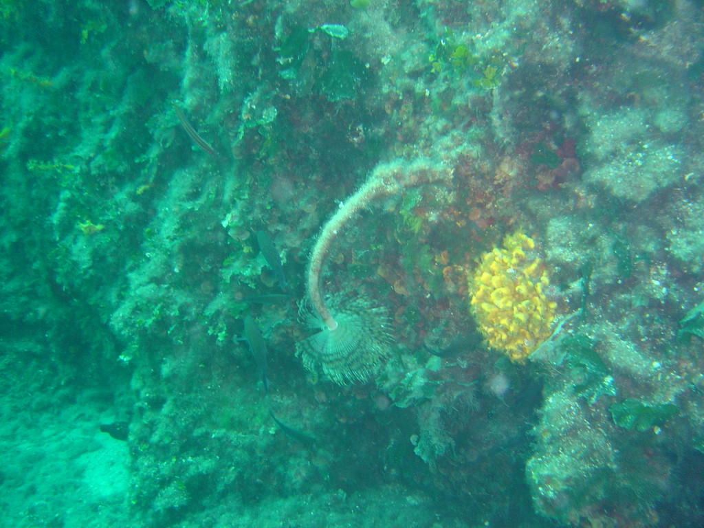 DSC00144.JPG