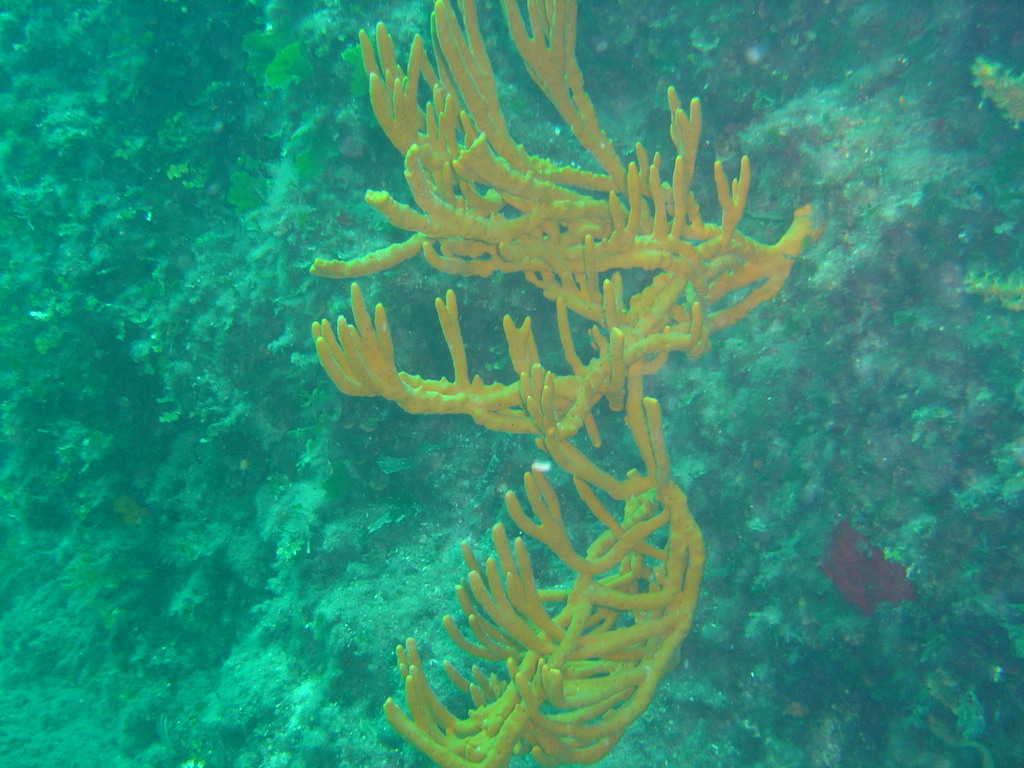 DSC00145.JPG