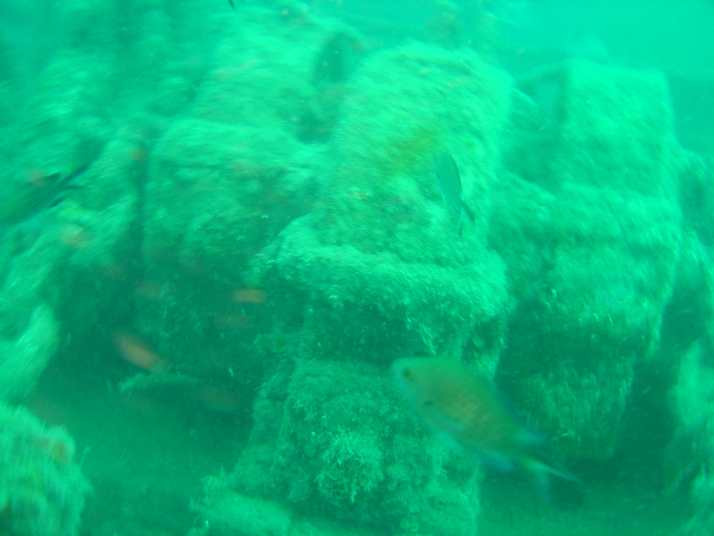 DSC00158.JPG