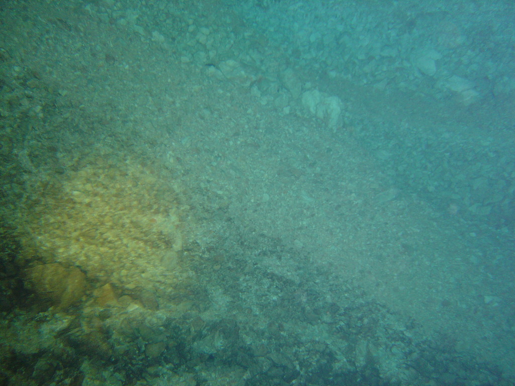 DSC00163.JPG