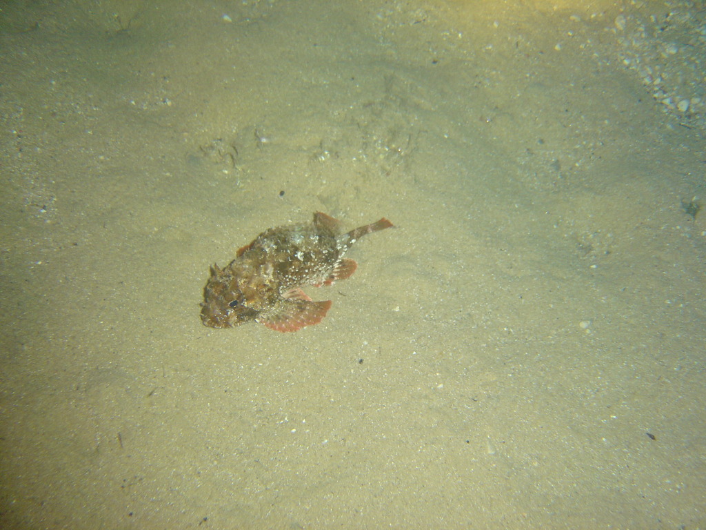 DSC00216.JPG