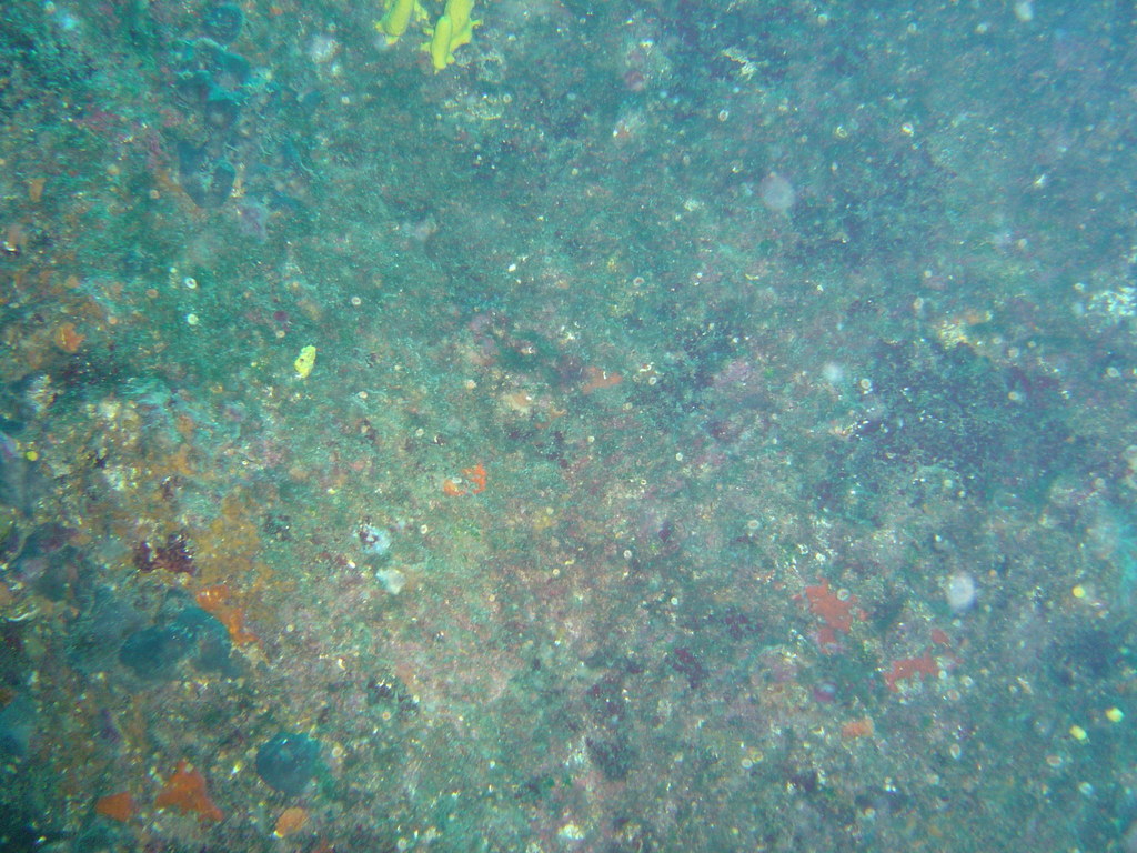 DSC00241.JPG