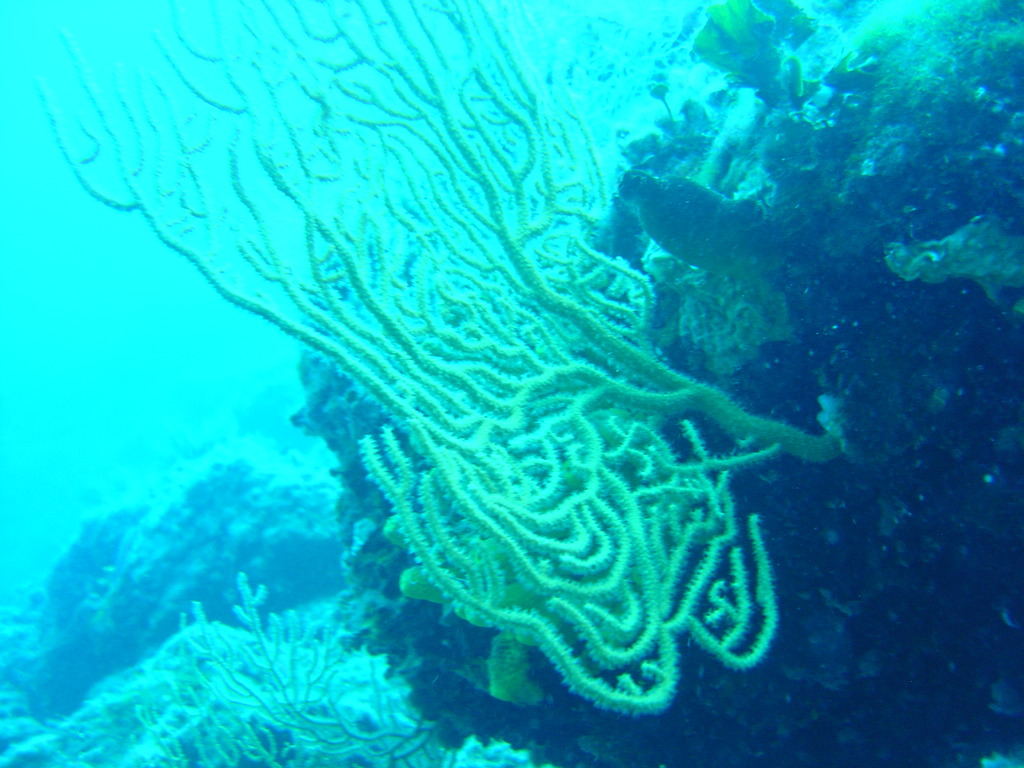 DSC00265.JPG
