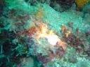 Dateiname=DSC00039.JPG
Dateigröße=221KB
Abmessungen: 1024x768
hinzugefügt am: 05. August 2014 DSC00039.JPG