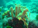 DSC00084.JPG