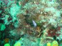 DSC00091.JPG