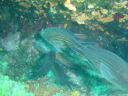DSC00094.JPG