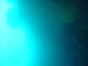 DSC00101.JPG