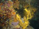 DSC00110.JPG