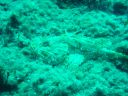 DSC00114.JPG