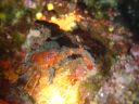 DSC00119.JPG