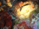 DSC00120.JPG