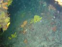 DSC00121.JPG