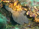 DSC00124.JPG