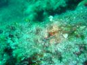 DSC00127.JPG
