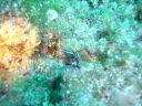 DSC00128.JPG