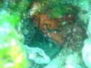 DSC00143.JPG