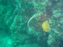 DSC00144.JPG