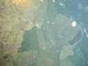 DSC00147.JPG