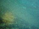 DSC00163.JPG