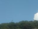 DSC00172.JPG