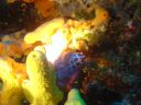 DSC00187.JPG