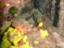 DSC00193.JPG