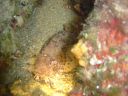 DSC00195.JPG