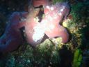 DSC00205.JPG