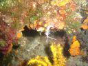 DSC00207.JPG