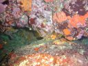DSC00208.JPG