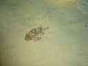 DSC00216.JPG