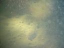 DSC00217.JPG