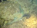DSC00220.JPG