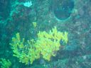 DSC00223.JPG