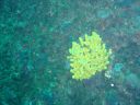 DSC00224.JPG