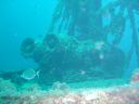 DSC00230.JPG