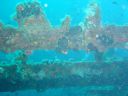 DSC00234.JPG