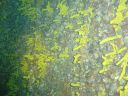 DSC00237.JPG