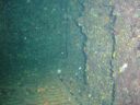 DSC00238.JPG
