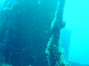 DSC00253.JPG