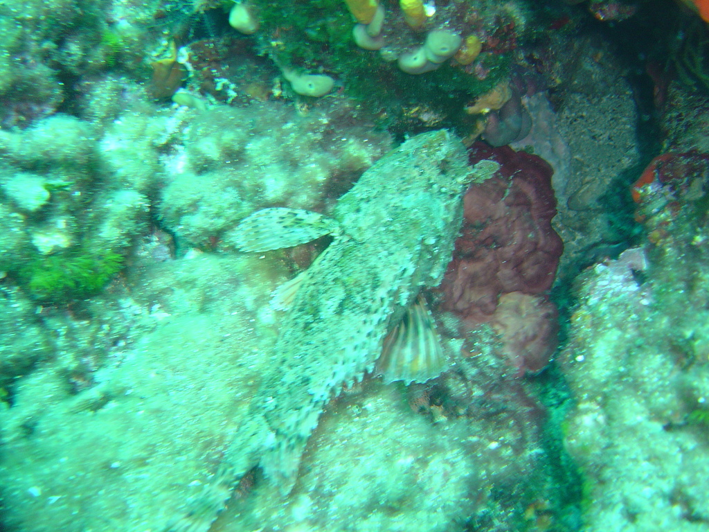 DSC00011.JPG